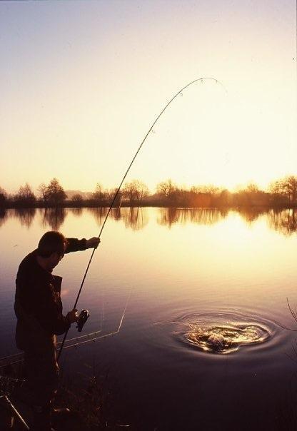 Frank Warwick - 118523110201733828296675813717223n.jpg